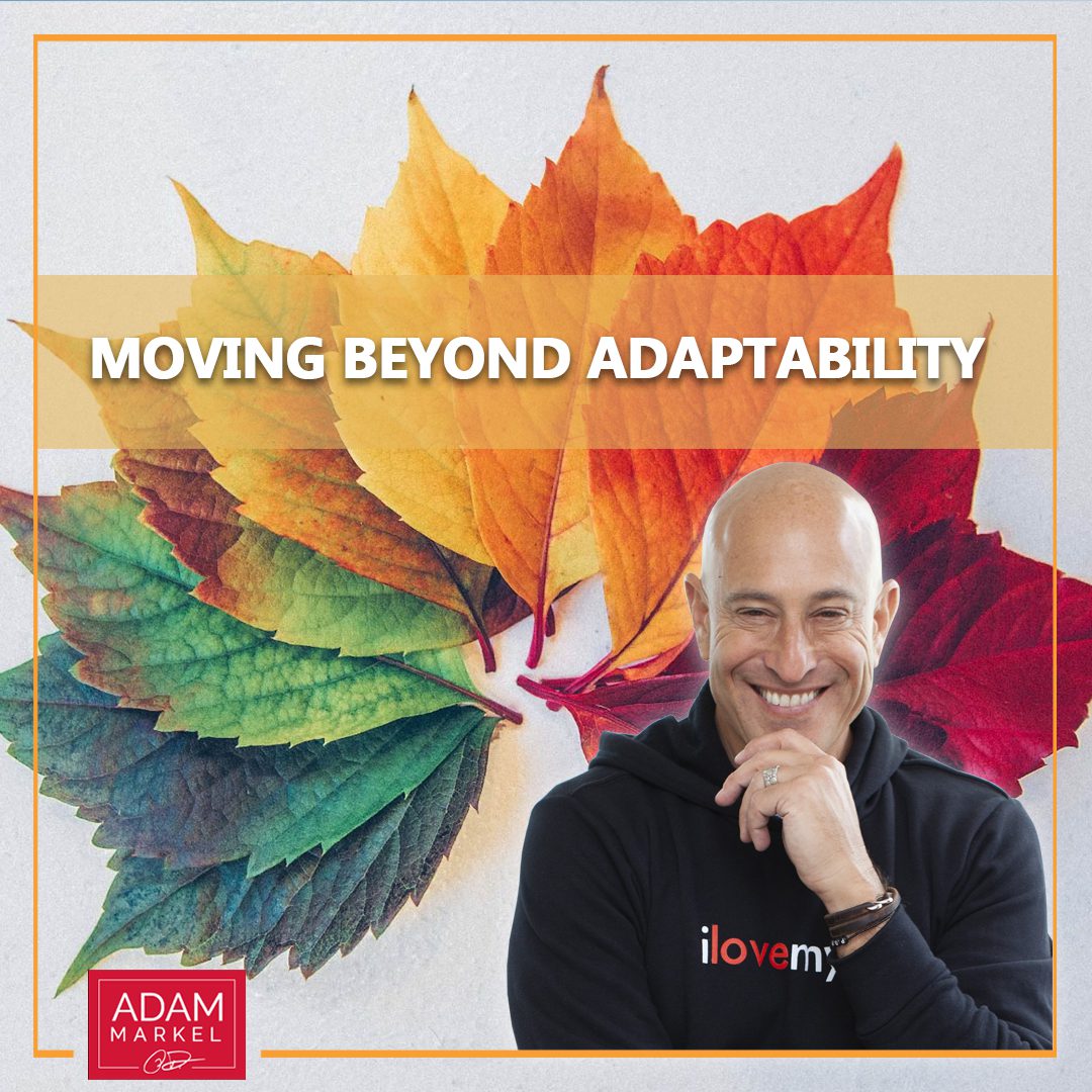 Moving Beyond Adaptability