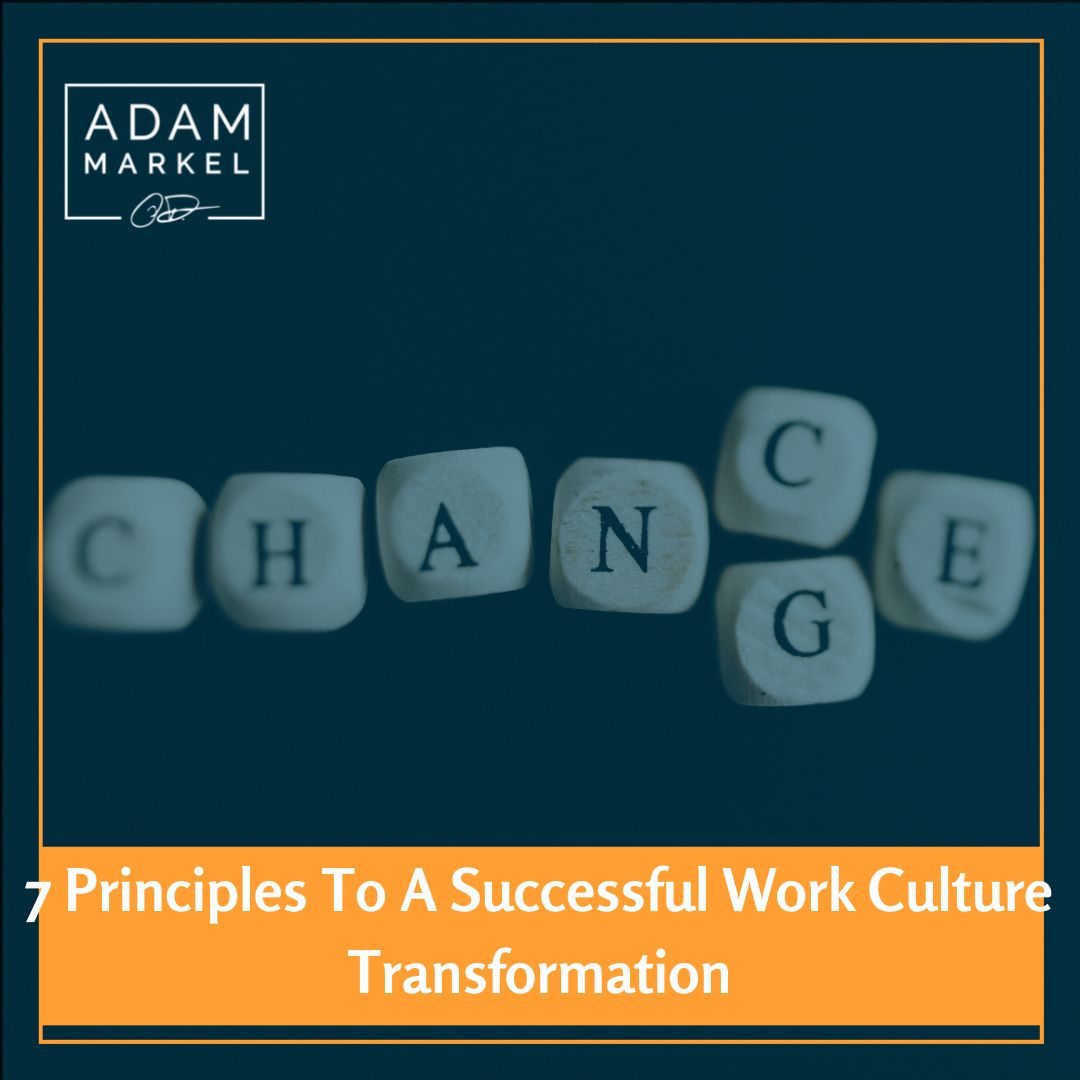 Cultivate Success for Your Organization with a Culture Transformation
